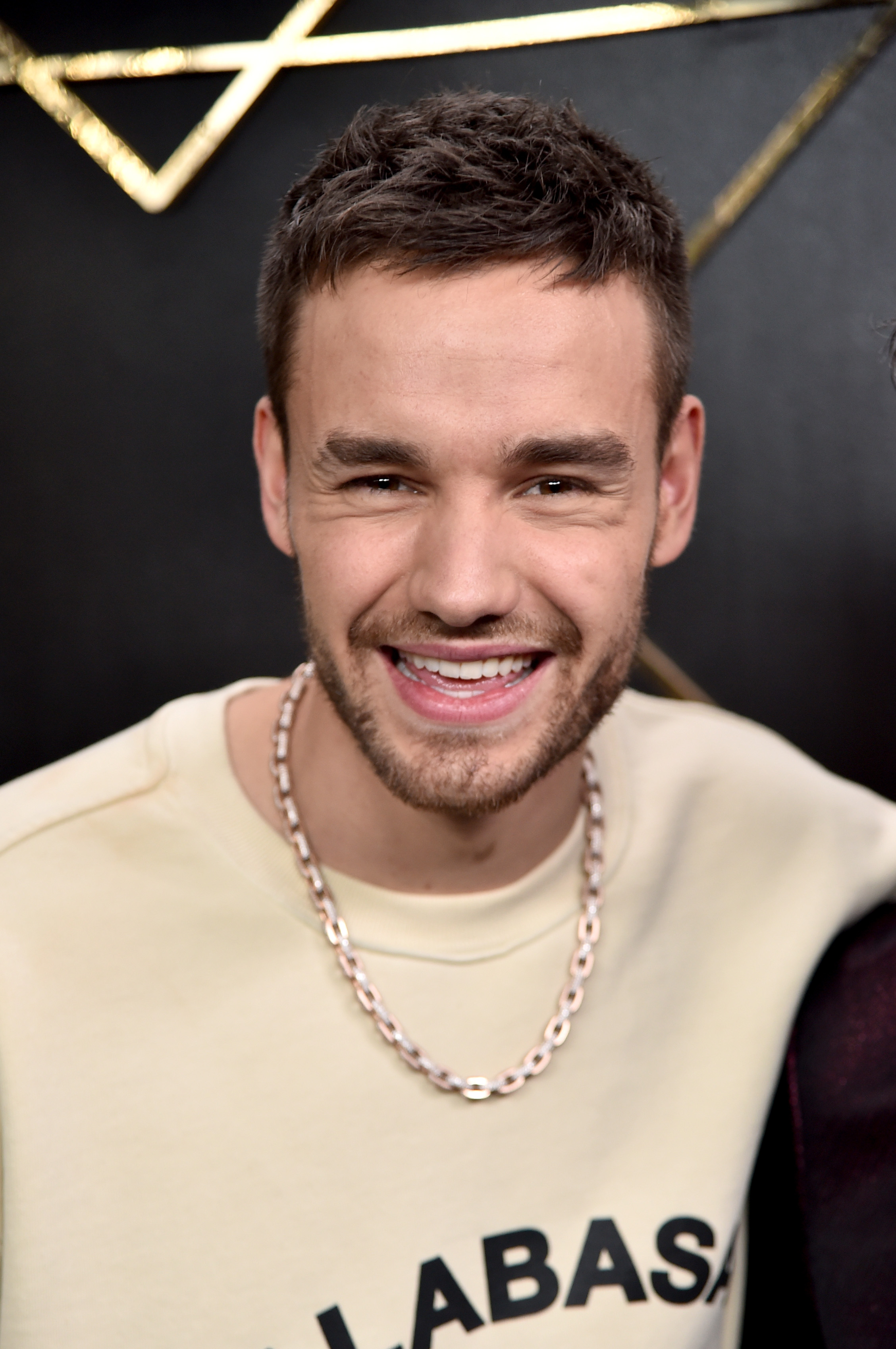 Liam Payne posa en la sala de prensa durante el Jingle Ball de 102.7 KIIS FM el 1 de diciembre de 2017, en Inglewood, California. | Fuente: Getty Images