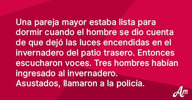 Par de viejitos reportan un allanamiento, pero la policía está ocupada. Así que vuelven a llamar