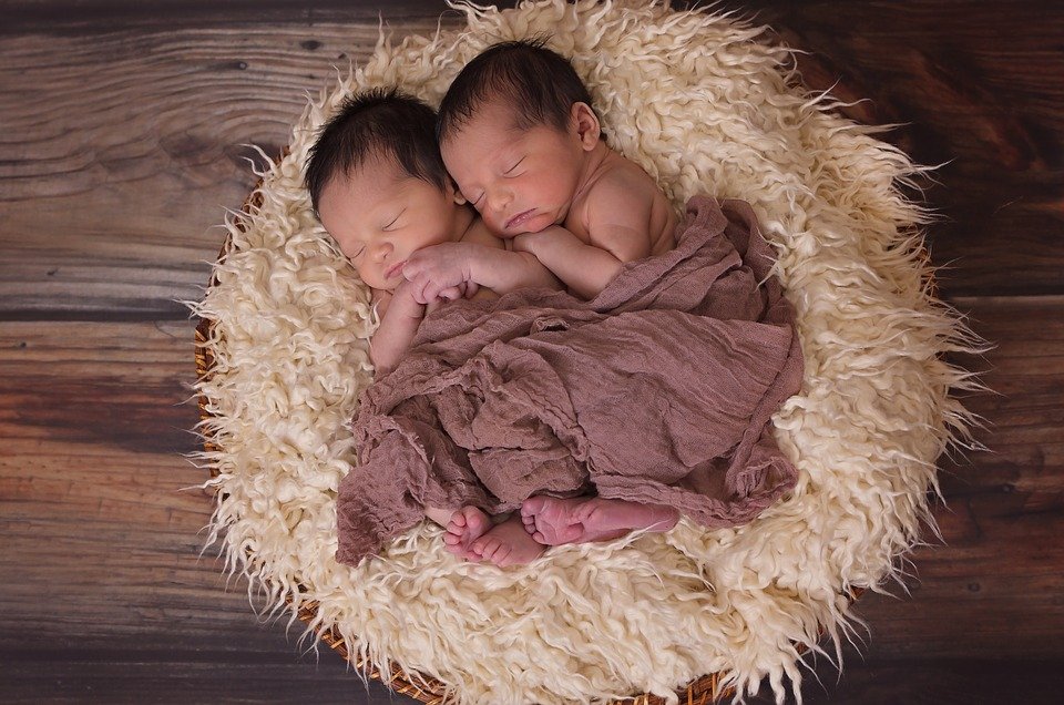 Gemelos recién nacidos en cuna de felpa. | Imagen: Pixabay