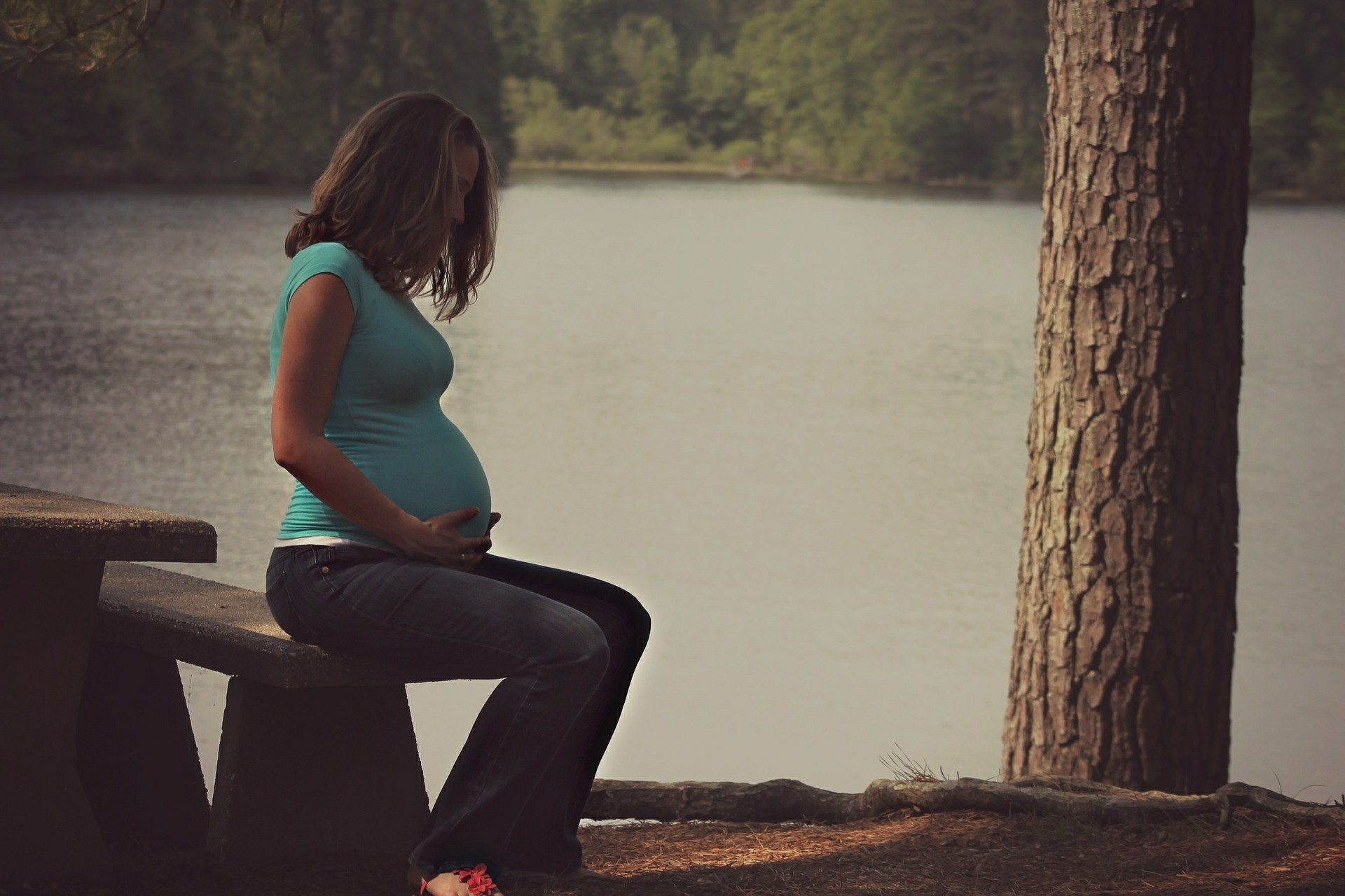 Mujer embarazada. Fuente: Pixabay