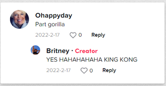 "Ohappyday: Parte gorila / Britney: SI HAHAHAHAHA KING KONG" | Comentario positivo sobre la bebé de Britney. | Foto: tiktok.com/@britneyisthebest_