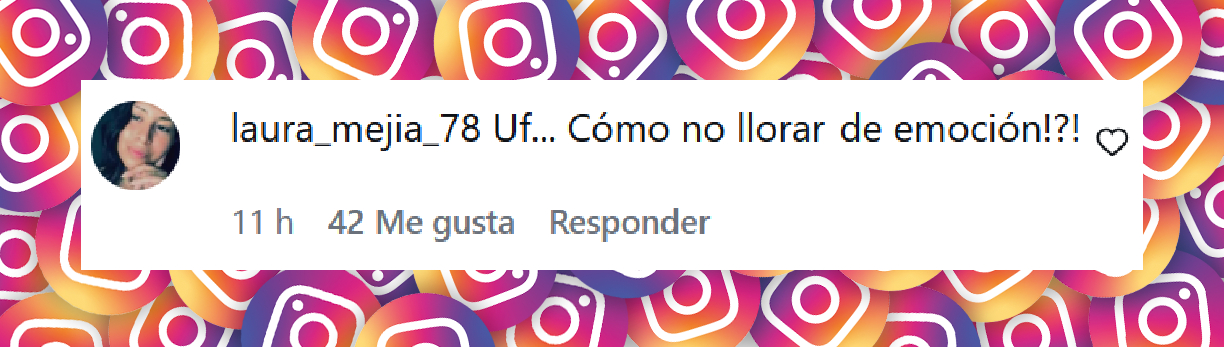 Comentario de una usuaria sobre el emotivo momento entre Nahuel Pennisi y su hijo Mateo cantando | Fuente: Instagram/eltrecetv