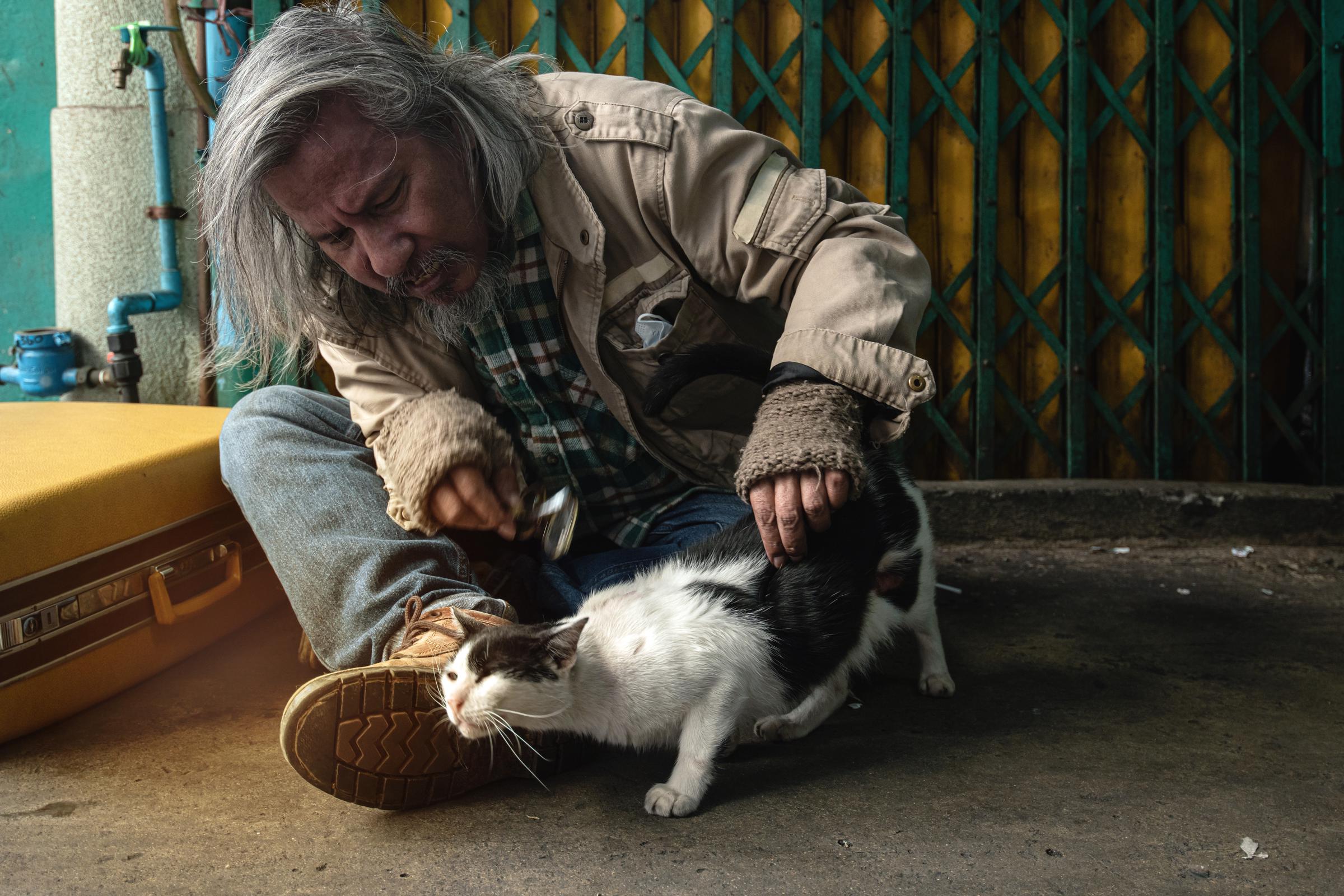 Hombre sin hogar con un gato | Fuente: Shutterstock