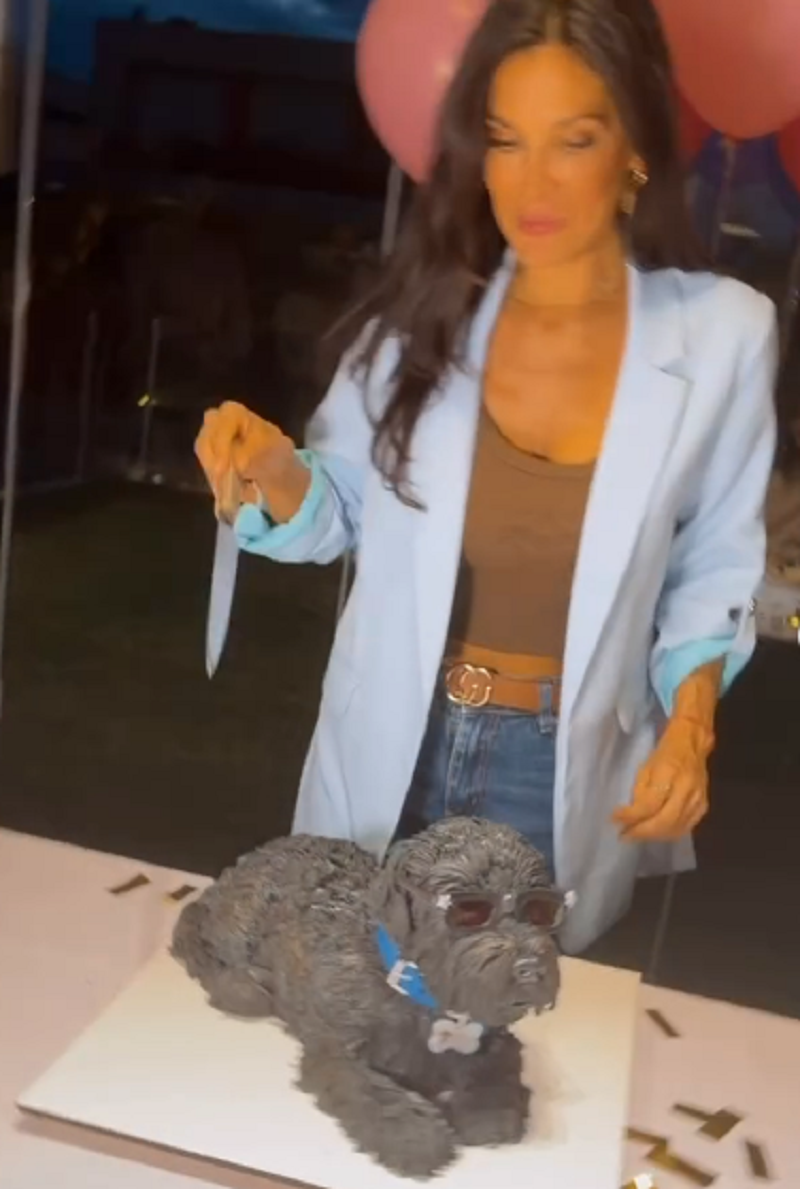 Silvina Escudero frente a la torta réplica de su perro en su cumpleaños número 43 | Fuente: Instagram/escuderosilvina