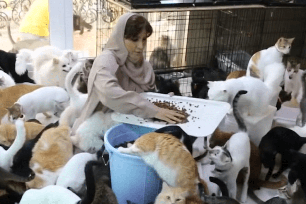La mujer de 51 años alimentando a sus animales. Maryam con algunas de sus mascotas. │ Foto: Captura de Facebook/El País Cali
