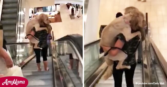 Gran perro le teme a escalera mecánica, y el amable gesto de su dueña es adorable (Video)