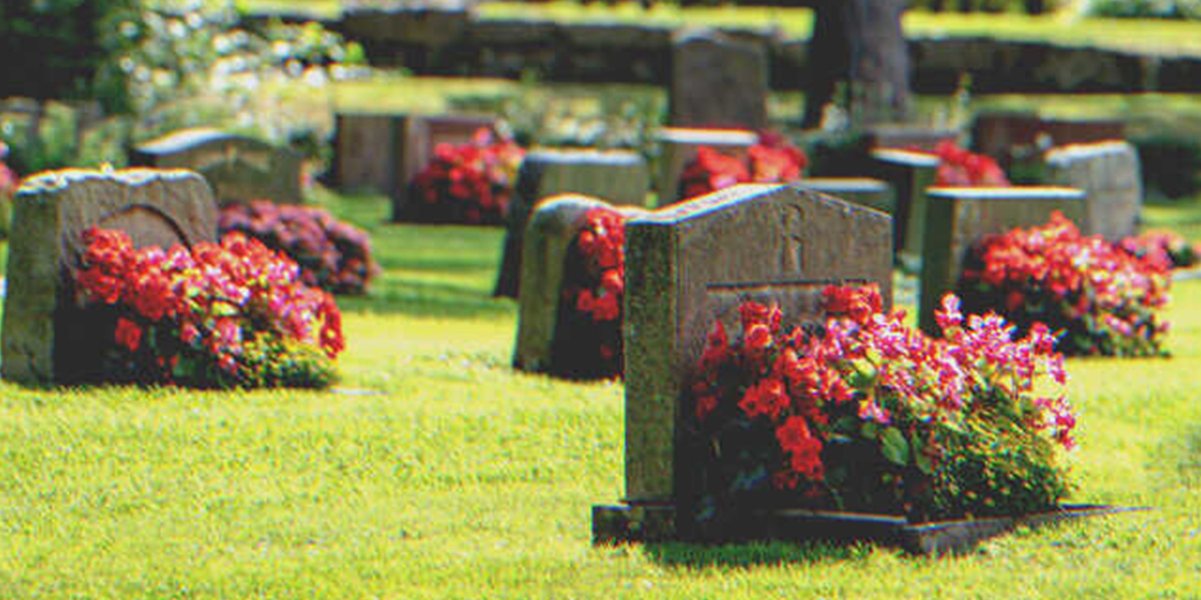Flores en tumbas | Foto: Shutterstock