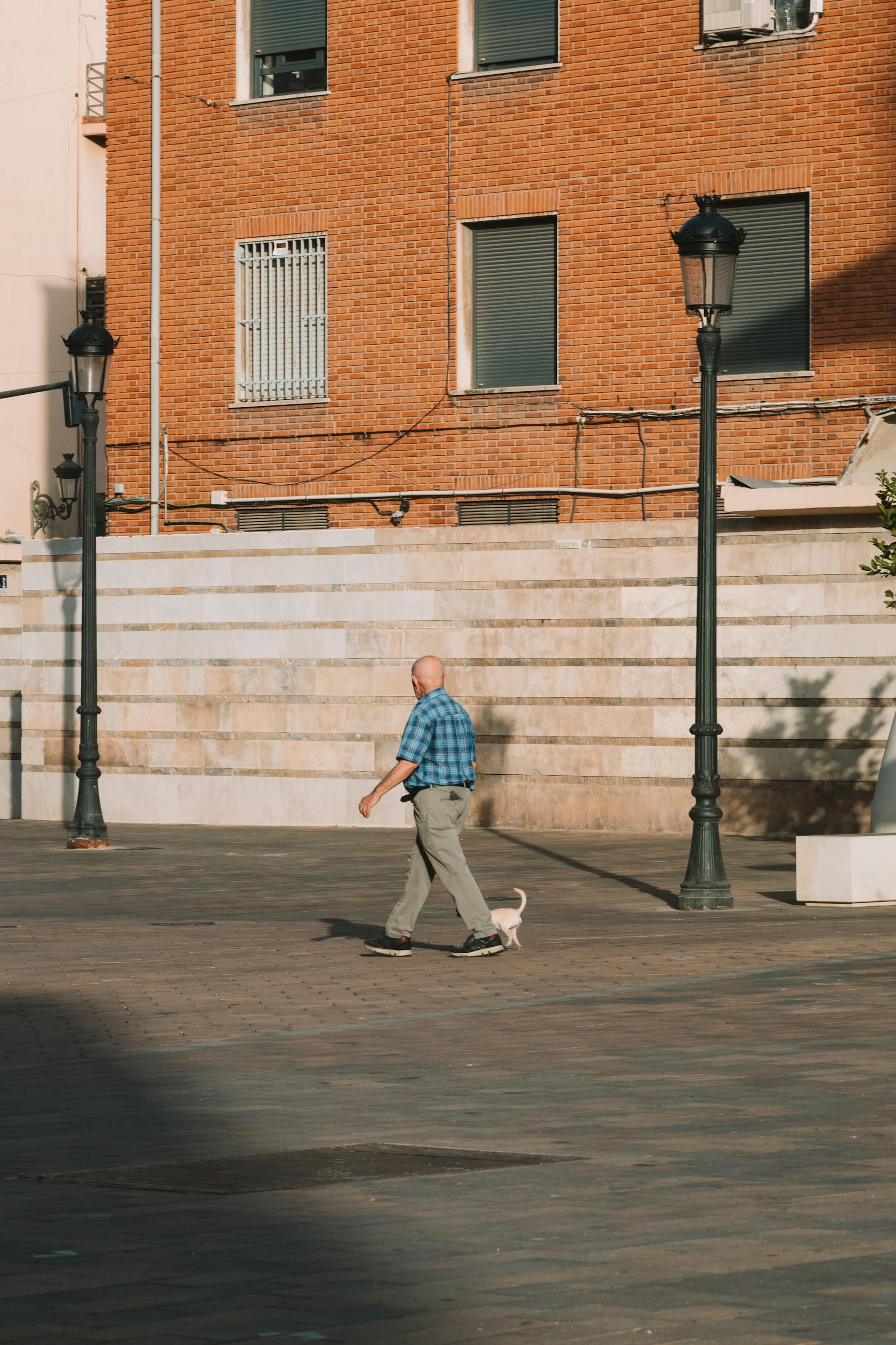 Un anciano con un perro | Fuente: Pexels