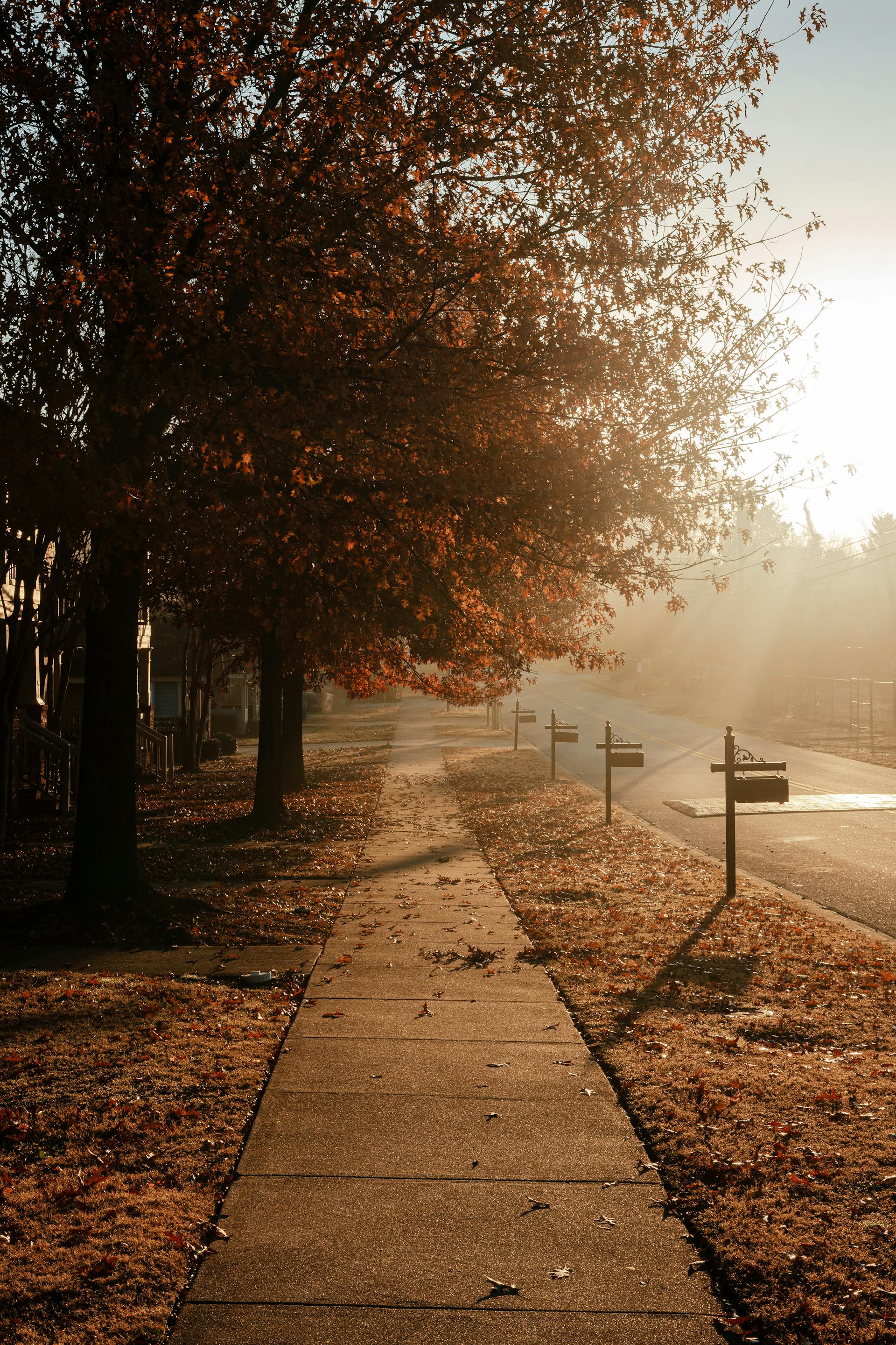 Amanecer en una zona suburbana | Fuente: Pexels