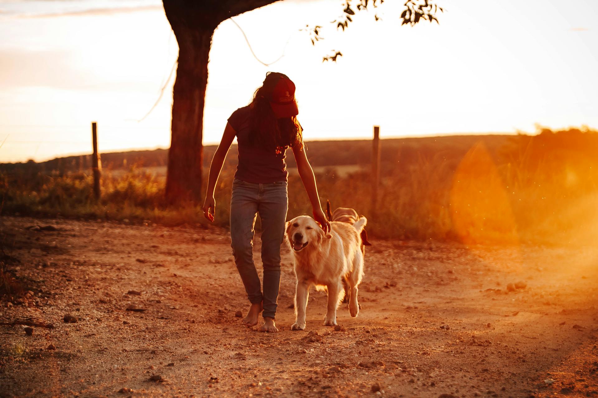 Una mujer con su perro | Fuente: Pexels