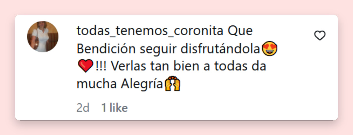 Comentario de una usuaria sobre la apariencia de Chichita, la madre de Las Trillizas de Oro, durante la celebración de su cumpleaños número 88 | Fuente: Instagram/lastrillizasoro