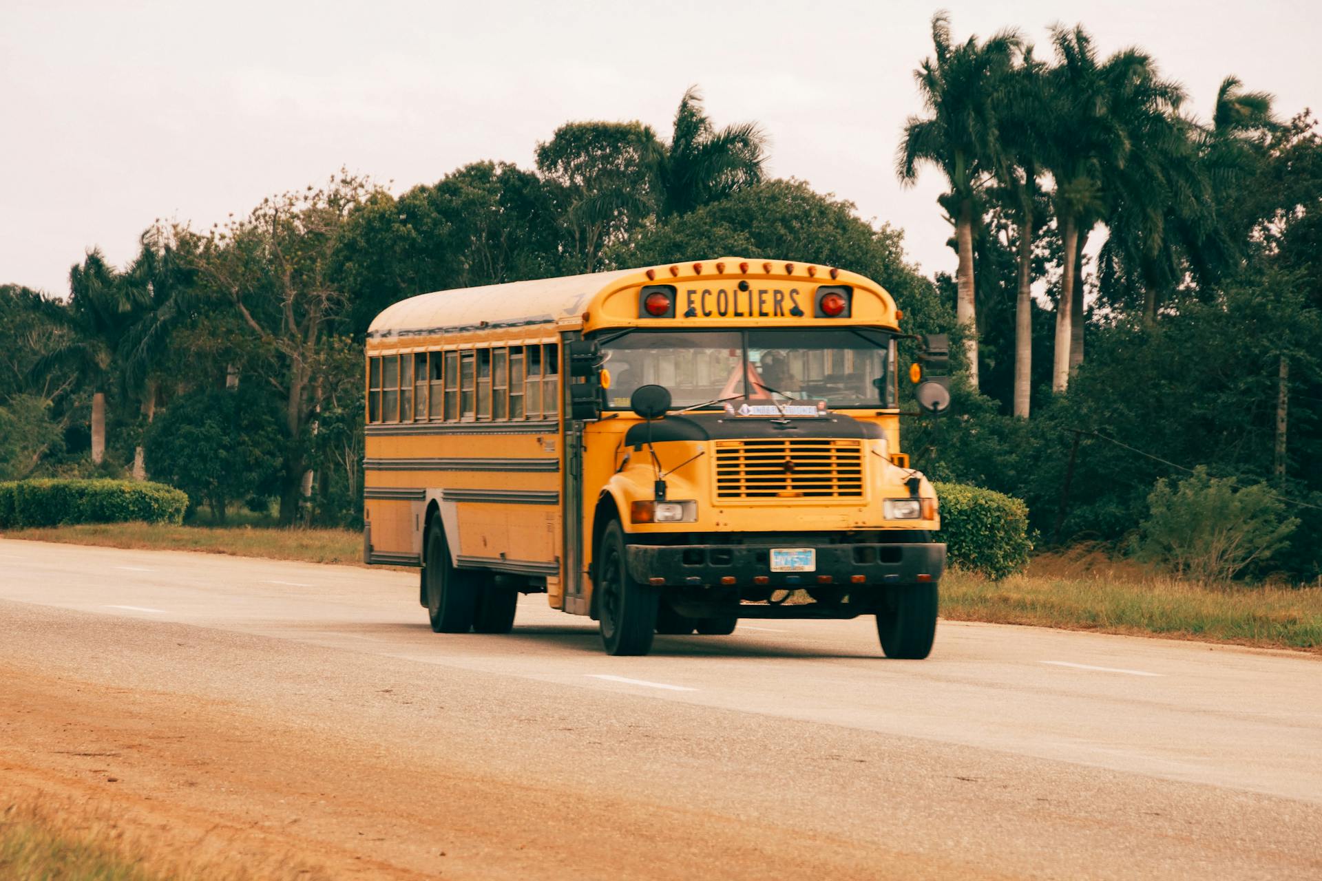 Un autobús escolar | Fuente: Pexels
