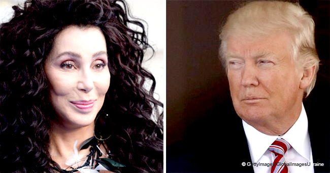 Cher rechaza el apoyo de Trump y lo llama un "rufián ignorante con cerebro de lagarto" 