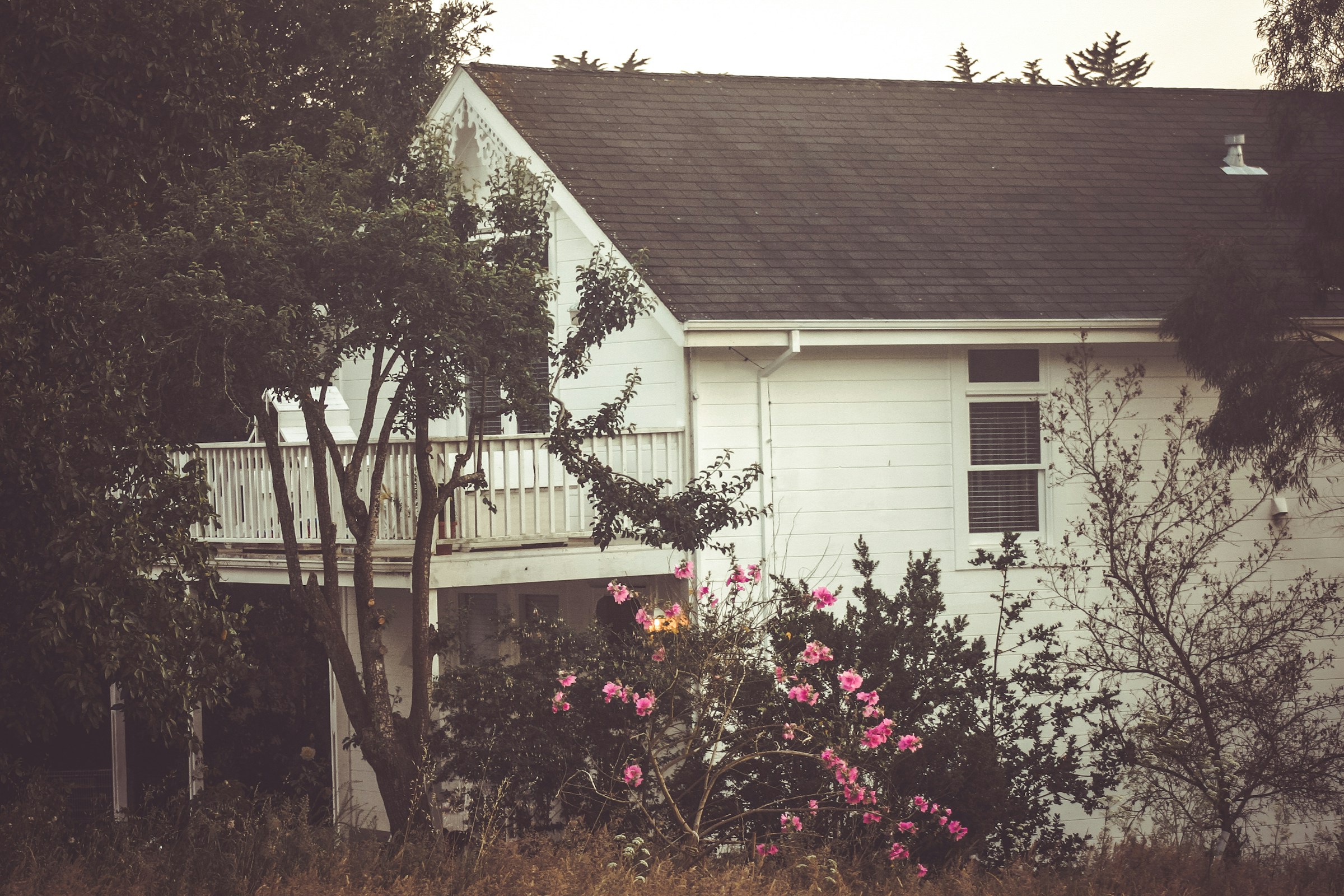 Una casa enclavada entre arbustos de flores y árboles | Fuente: Unsplash