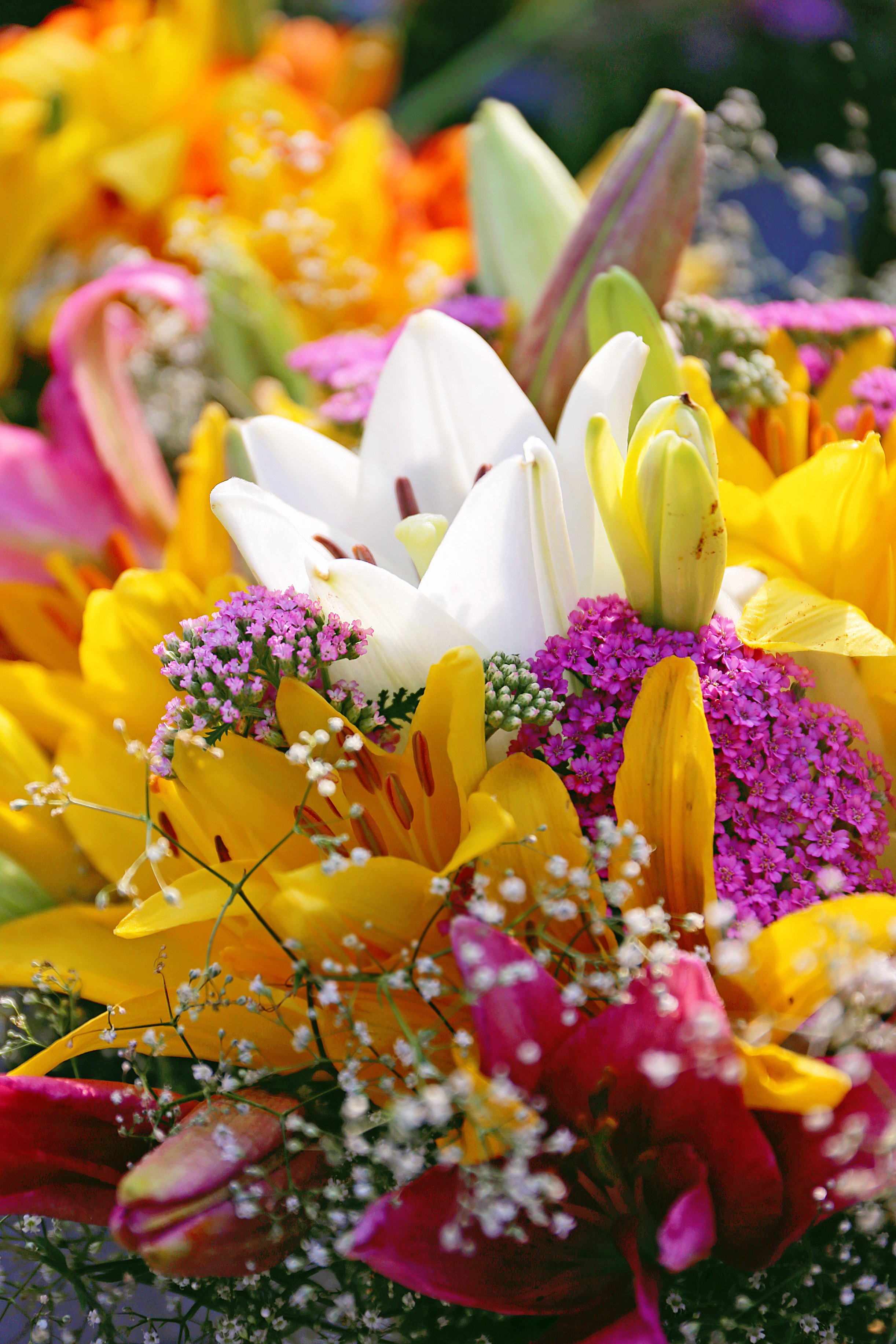 Colorido ramo de flores. | Foto: Shutterstock