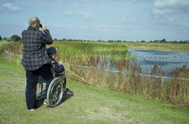 Anciano detrás de la silla de ruedas de una anciana, observando las aves en el agua. | Foto: Pixnio