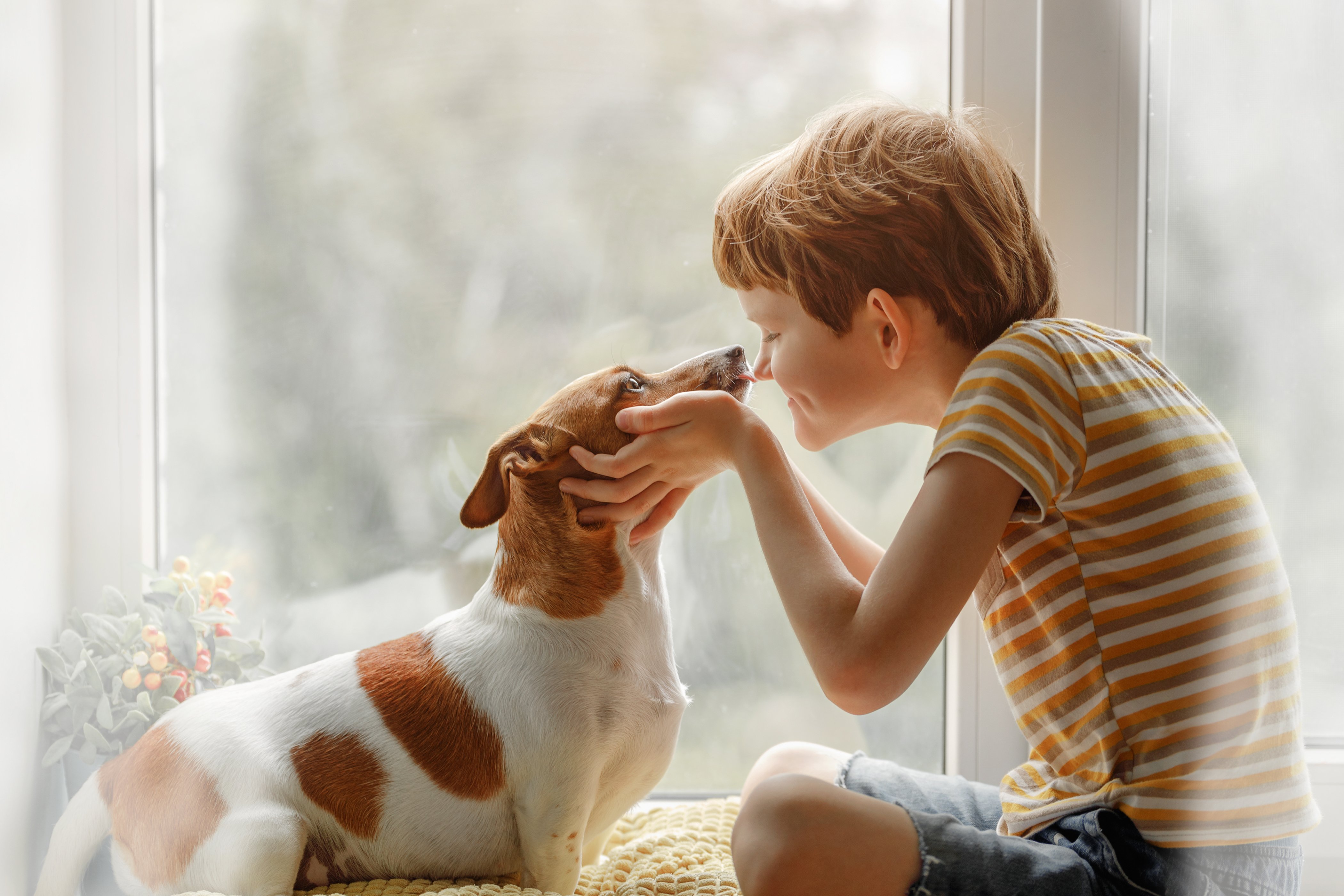 Niño besa a un perro. Fuente: Shutterstock