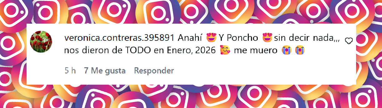Comentario de una fan sobre el reencuentro de Anahí y Alfonso Herrera en un video publicado en Instagram | Fuente: Instagram/anahi