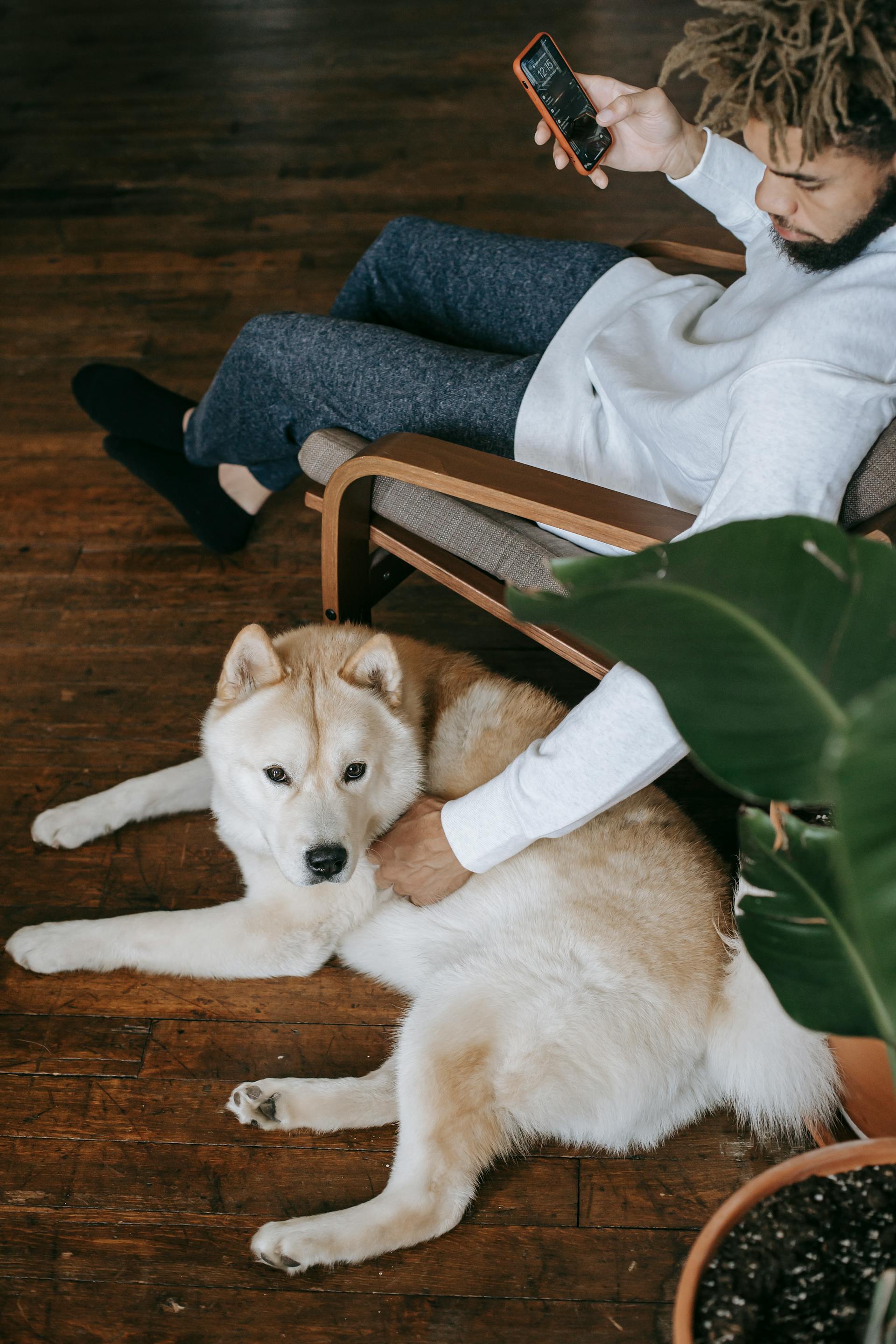 Un hombre con un teléfono en la mano acaricia a un perro | Fuente: Pexels