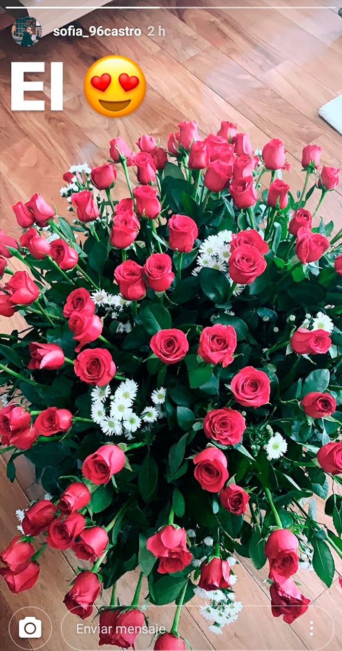 Rosas rojas | Foto: Instagram.com/stories/sofia_96castro/