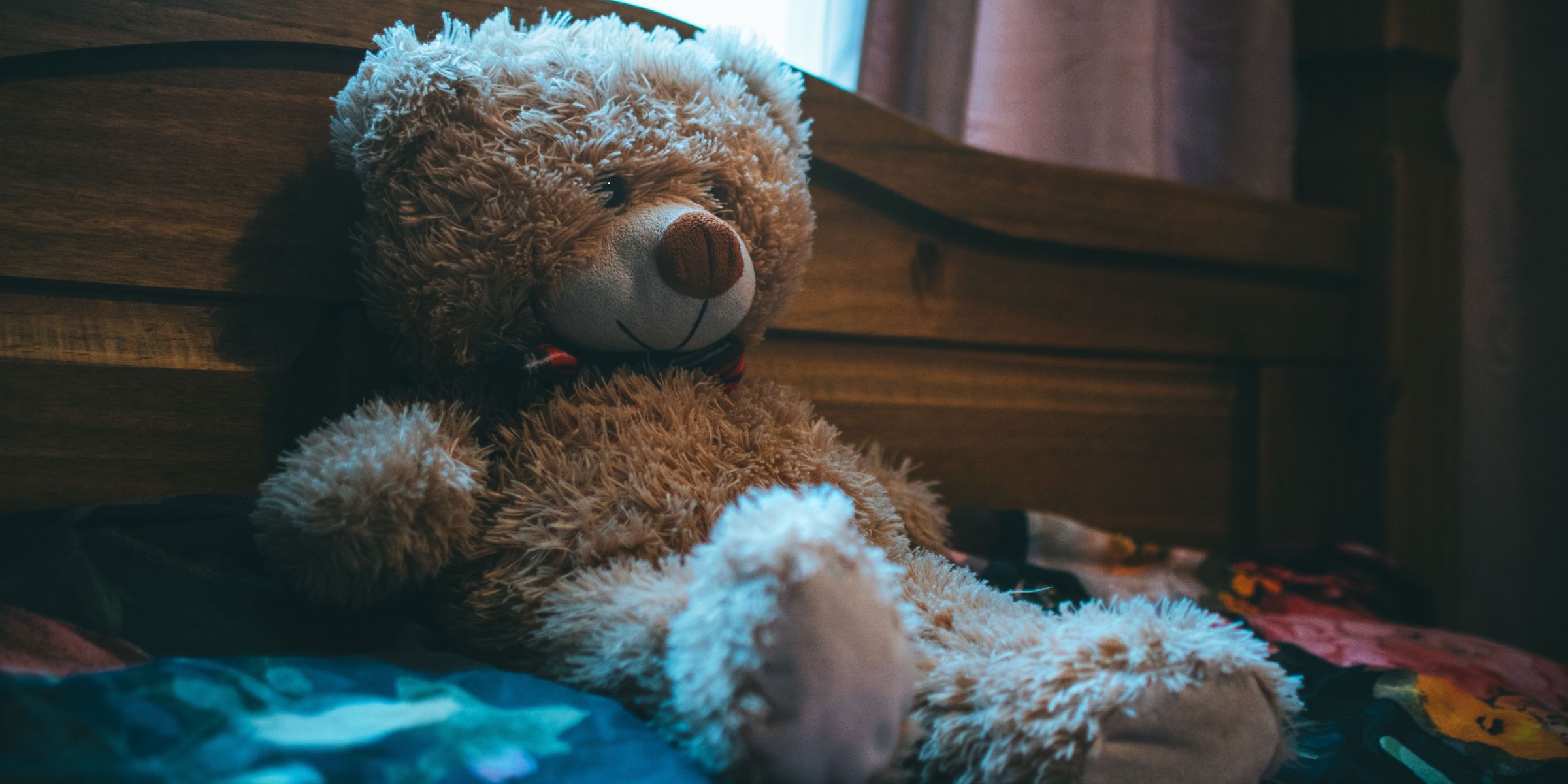 Un orsacchiotto | Fonte: Pexels