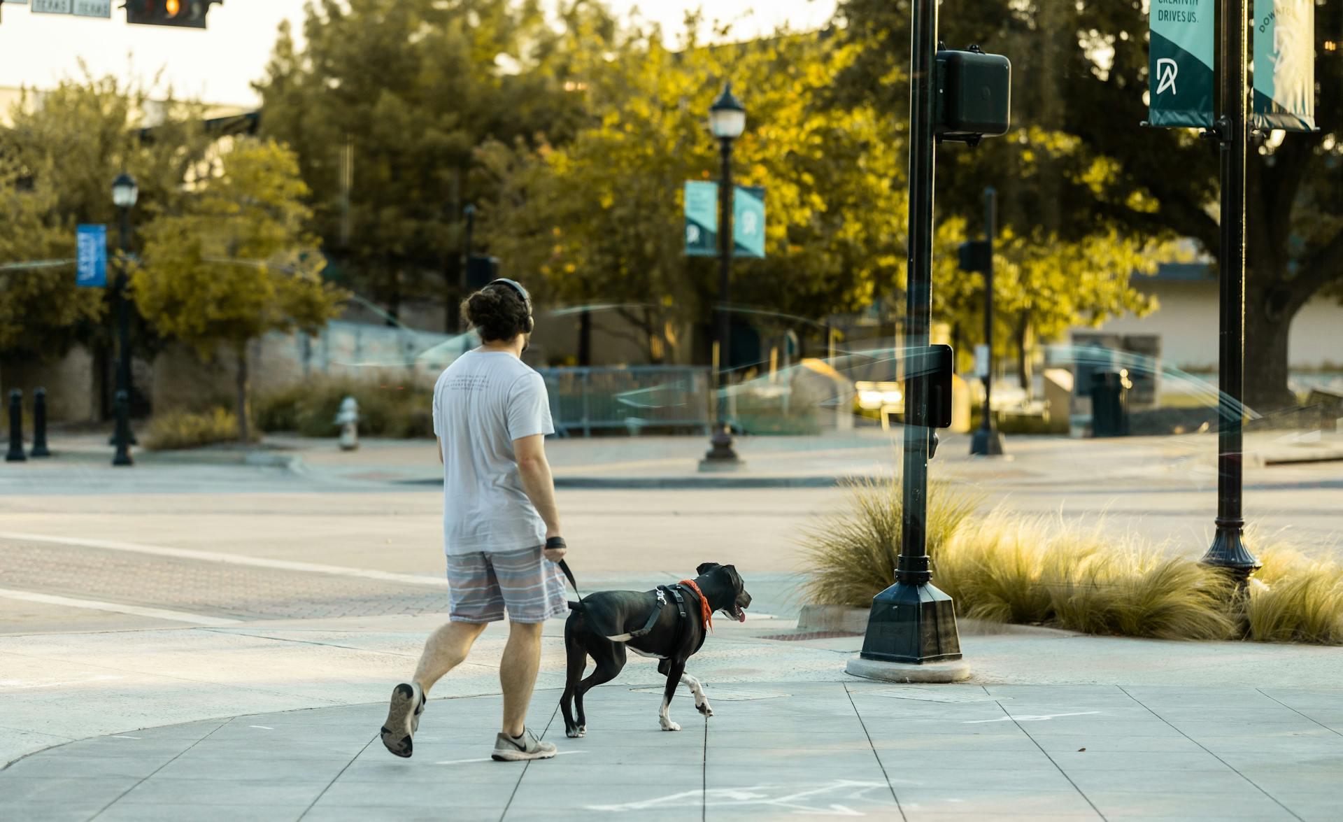 Un hombre paseando a su perro | Fuente: Pexels