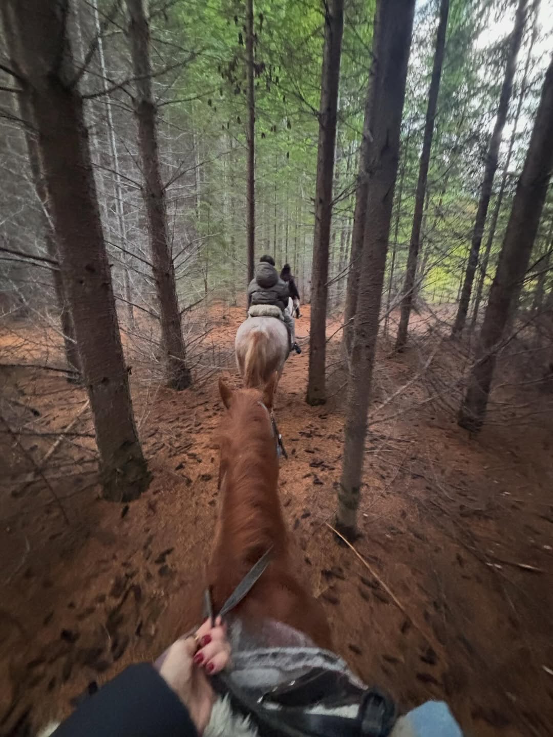 Guillermina Valdes pasea a caballo junto a sus hijos | Fuente: Instagram/guillevaldes1
