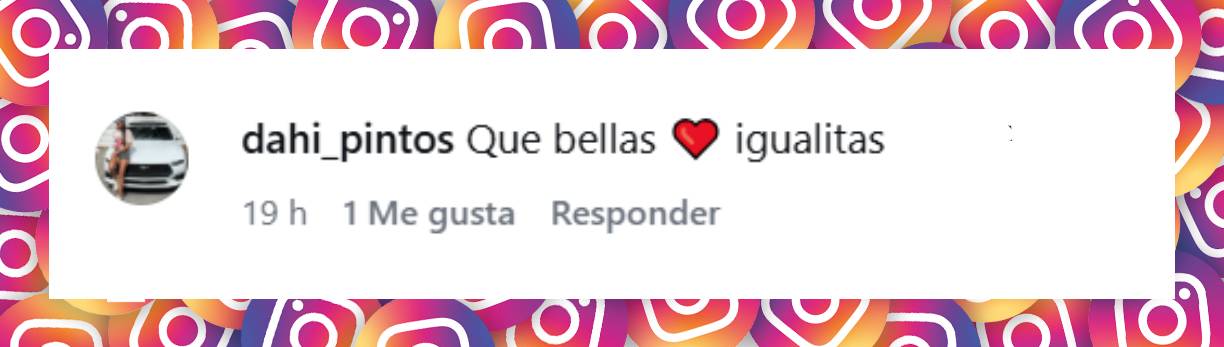 Comentario de una usuaria | Fuente: Instagram/salazarluli
