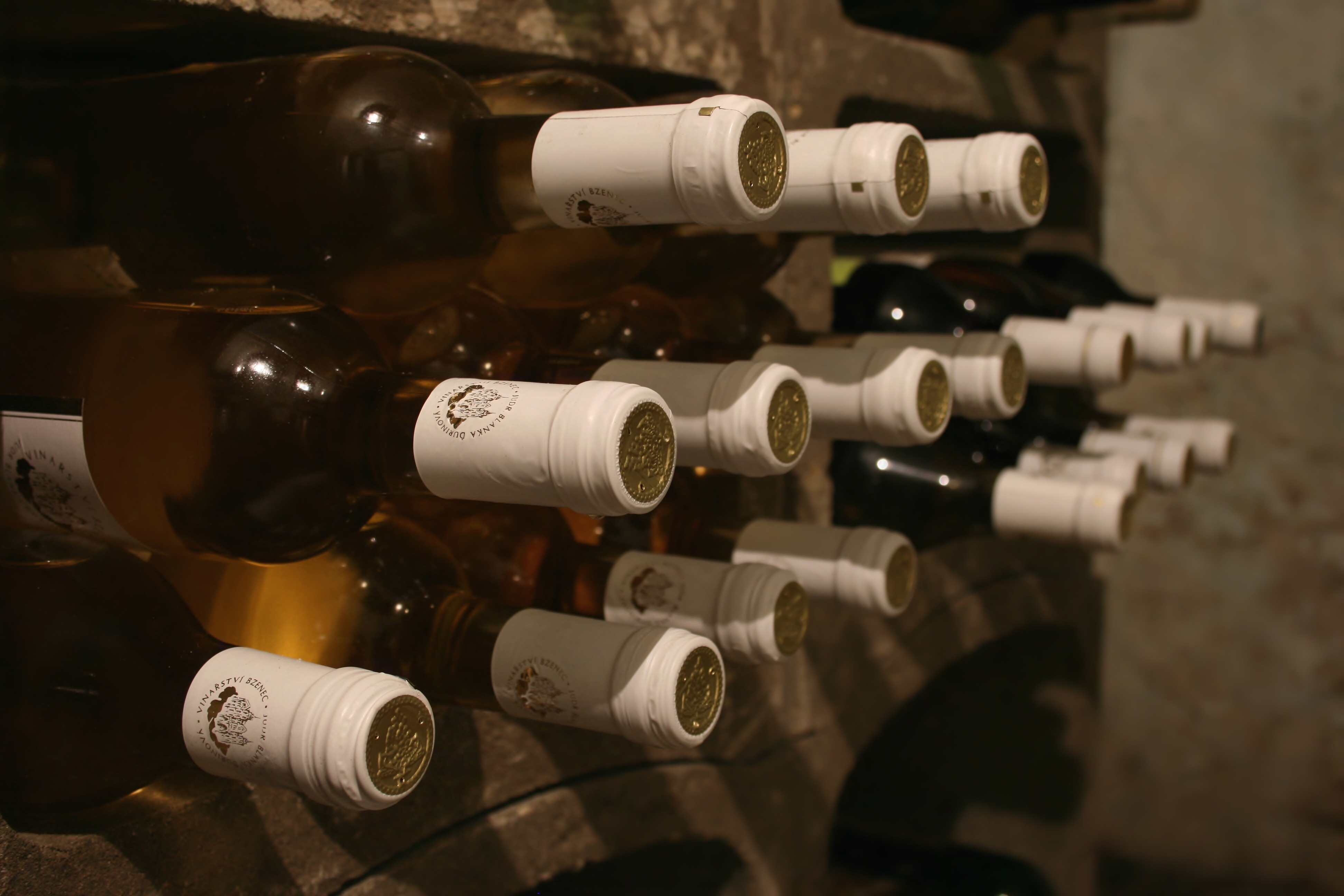 Botellas de vino en bodega. | Fuente: Shutterstock