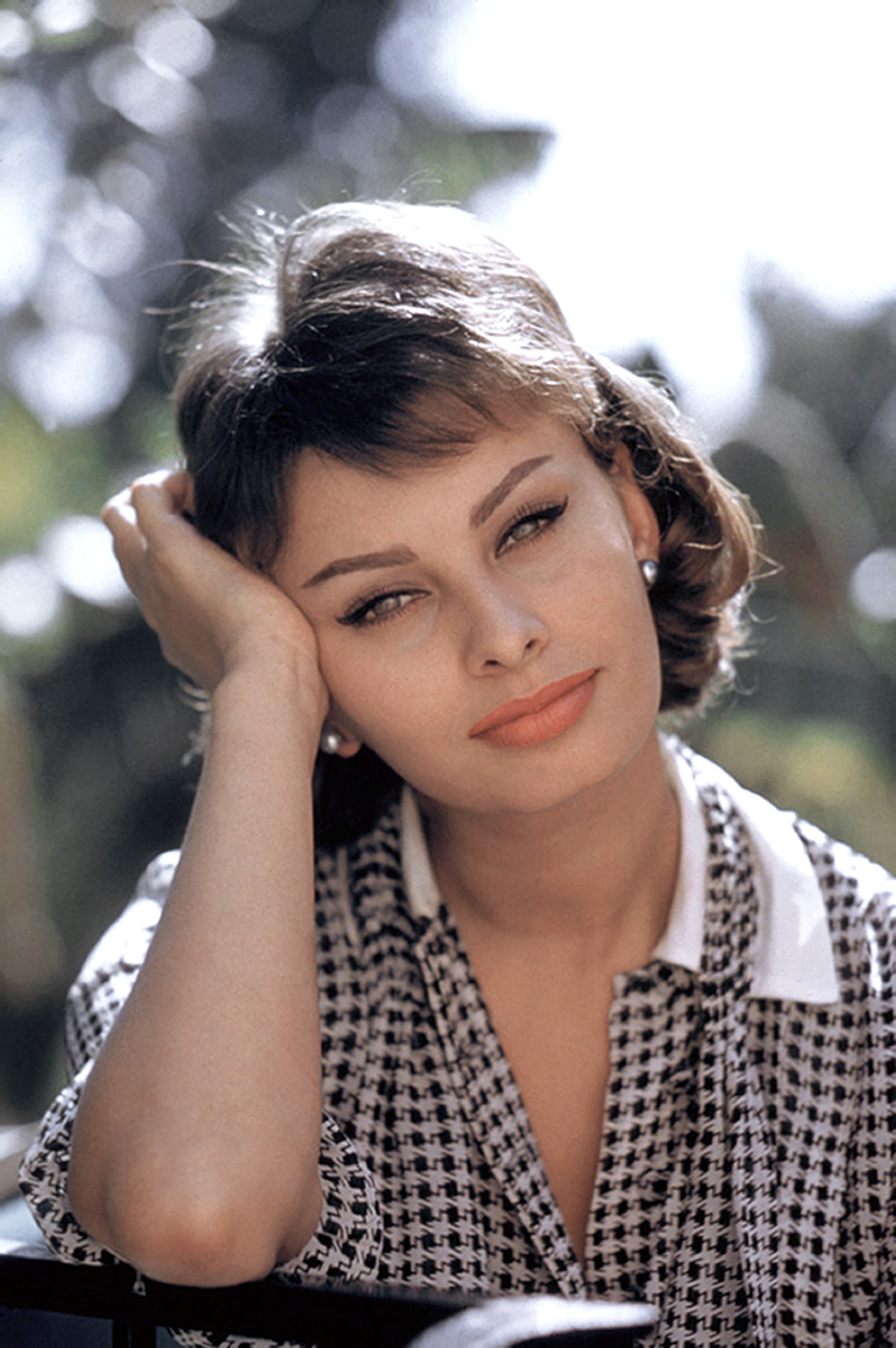 Retrato de Sophia Loren en Los Ángeles, California, el 20 de agosto de 1958. | Fuente: Getty Images