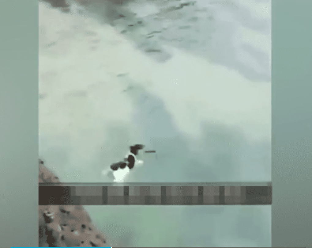 El borroso video del teléfono móvil muestra al perro siendo arrojado desde un acantilado al océano. Fuente: YouTube / Buzz news