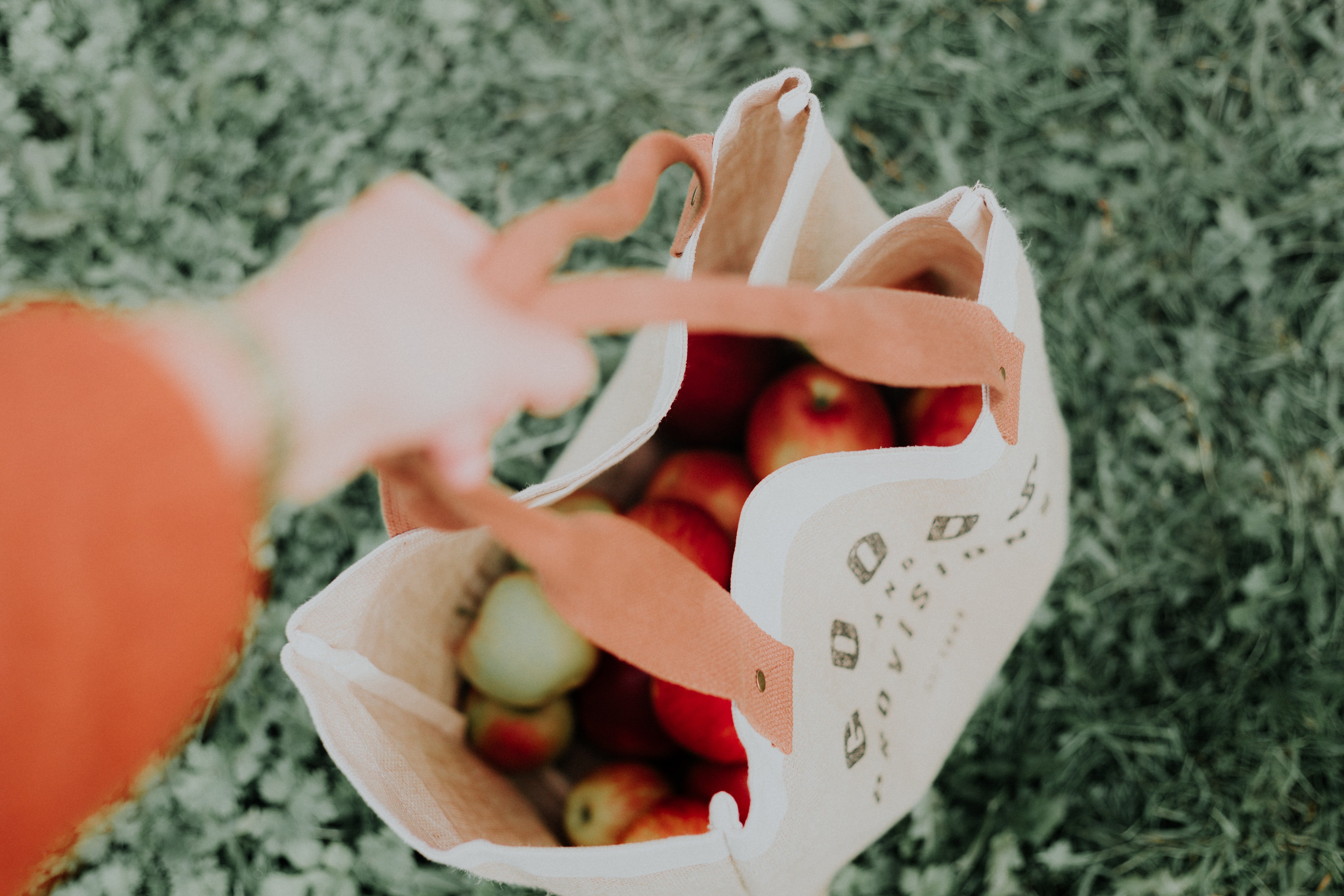 Una bolsa llena de frutas. | Foto: Unsplash