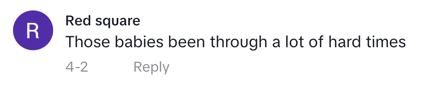 "Esos bebés han pasado por un montón de momentos difíciles" | Comentario de un usuario en el vídeo de TikTok de Mallory Ellis | Foto: TikTok.com/malloryellis4