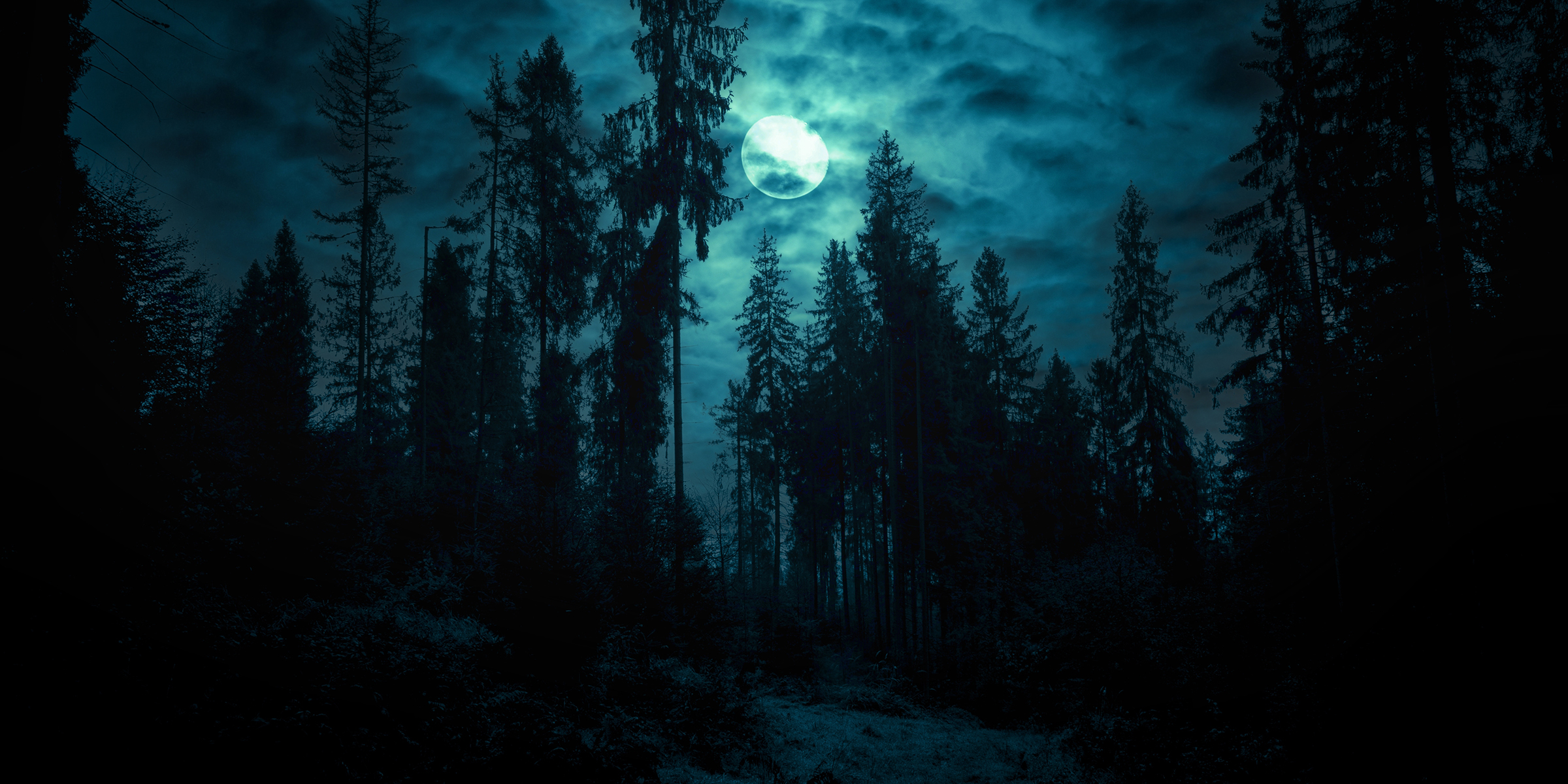 Salida de la luna sobre un bosque encantado | Fuente: Shutterstock