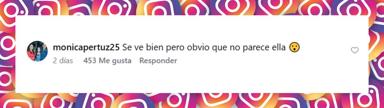 Comentario de una usuaria | Fuente: Instagram/univisionfamosos