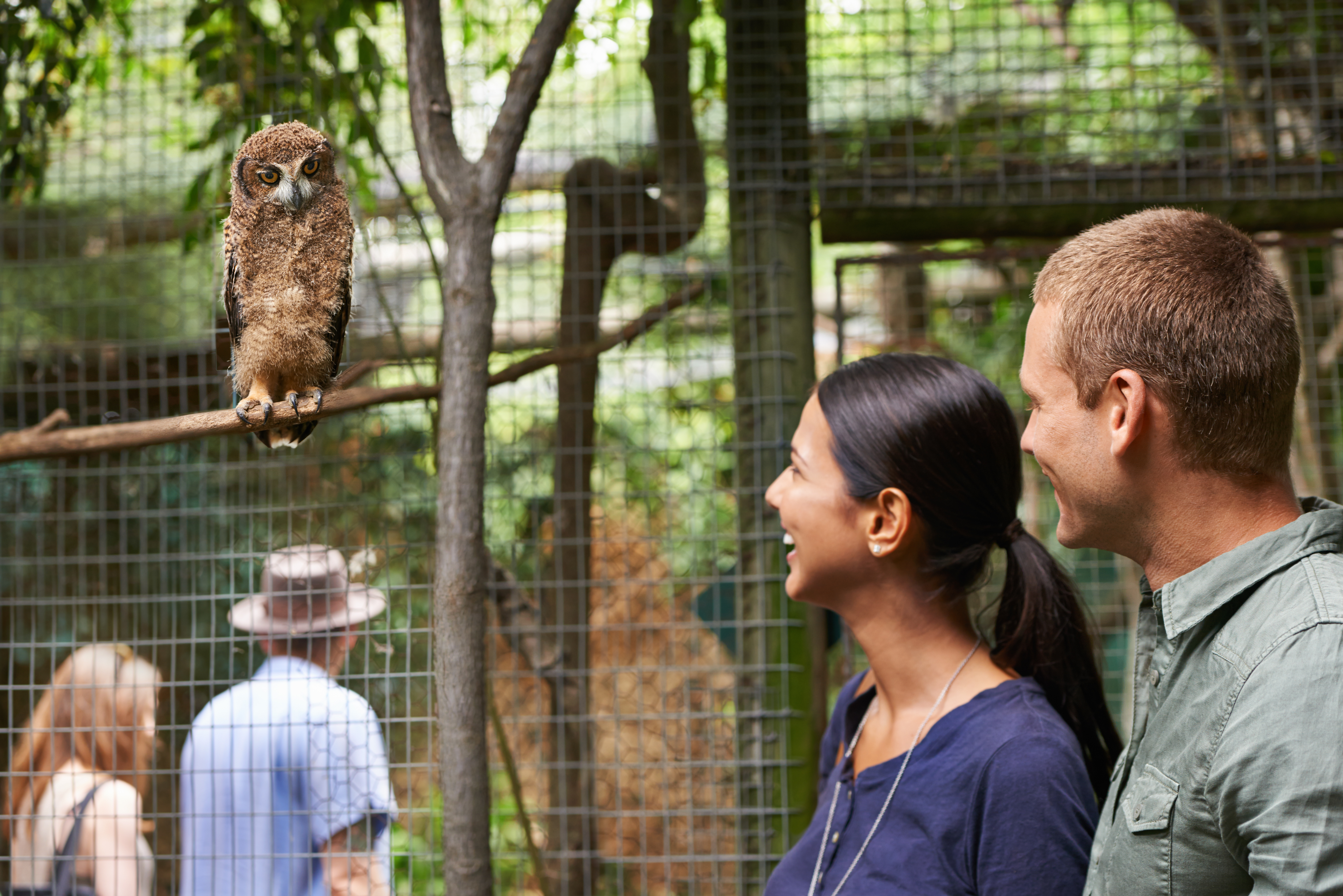 Pareja joven en una cita en un zoo | Fuente: Getty Images