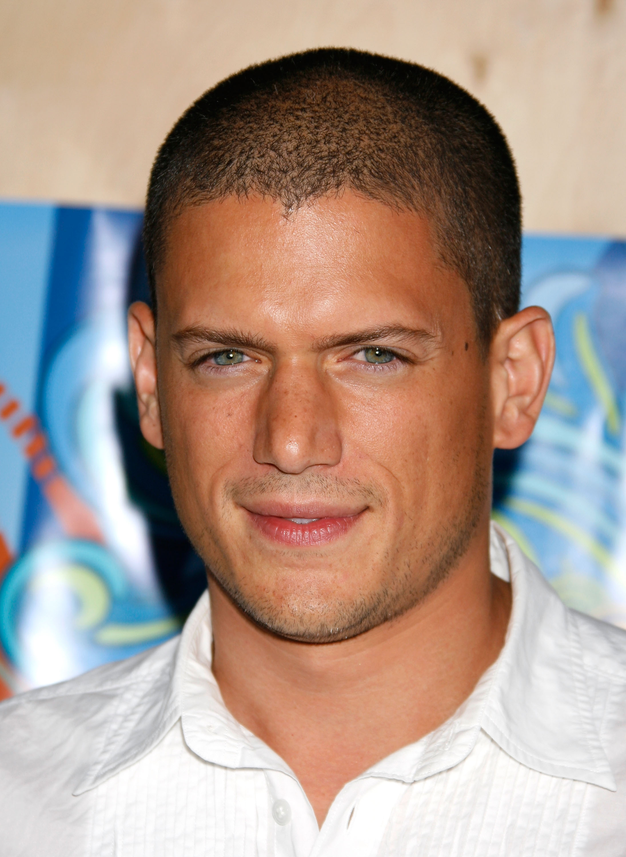 Wentworth Miller en la fiesta FOX TCA el 23 de julio de 2007, en Santa Mónica, California. | Fuente: Getty Images