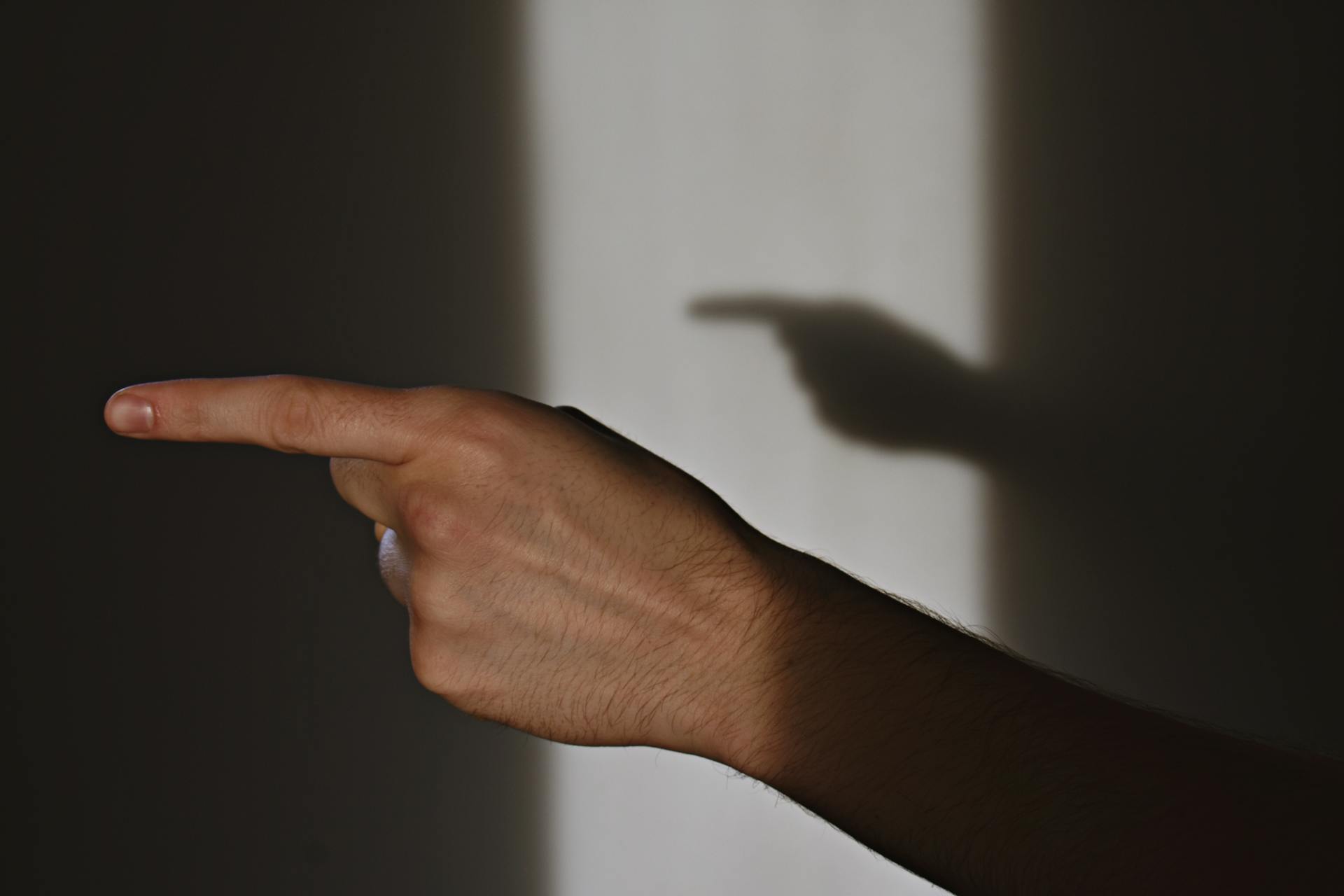 Un hombre señalando con el dedo a alguien | Fuente: Pexels
