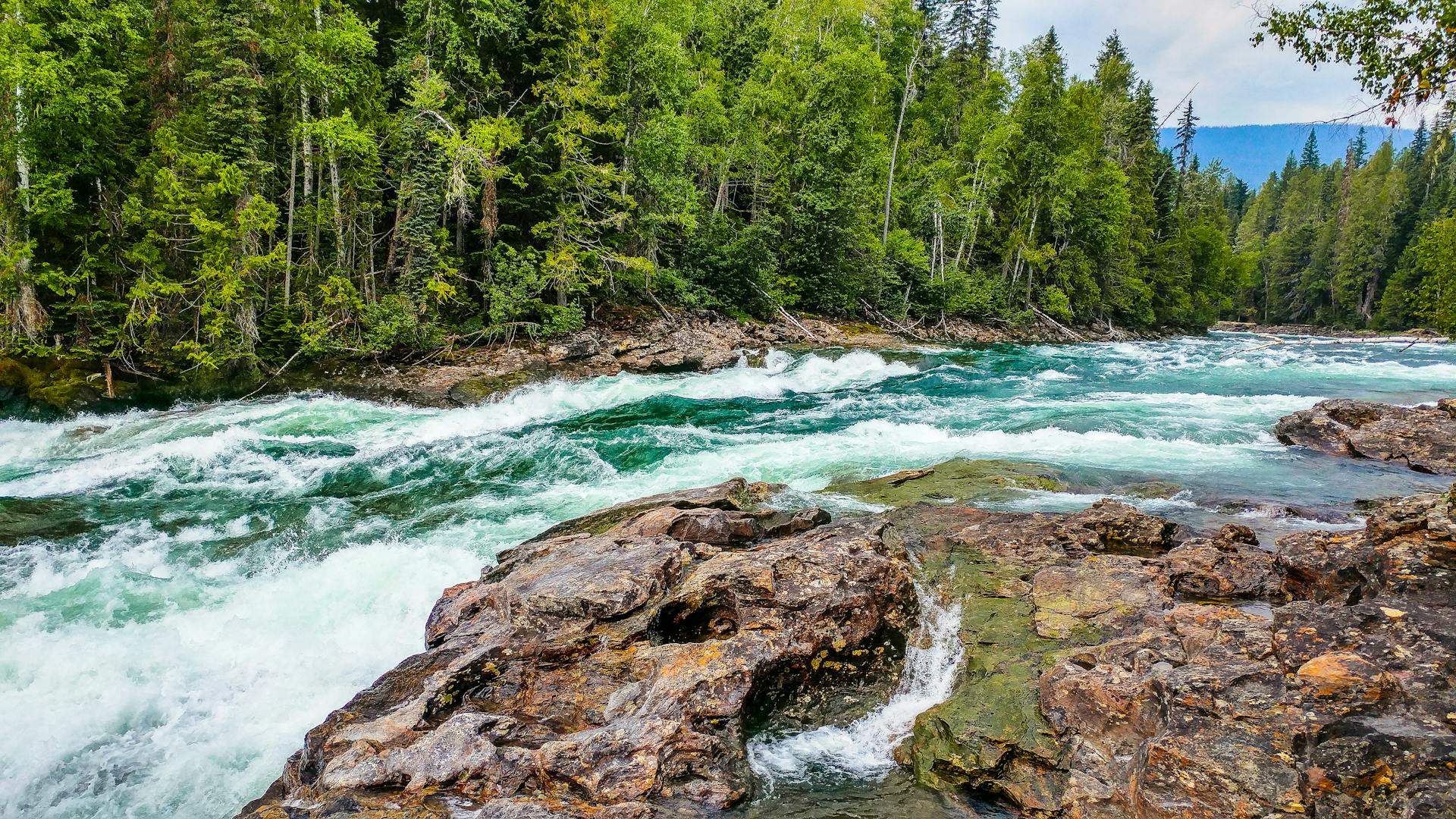 Un río | Fuente: Pexels