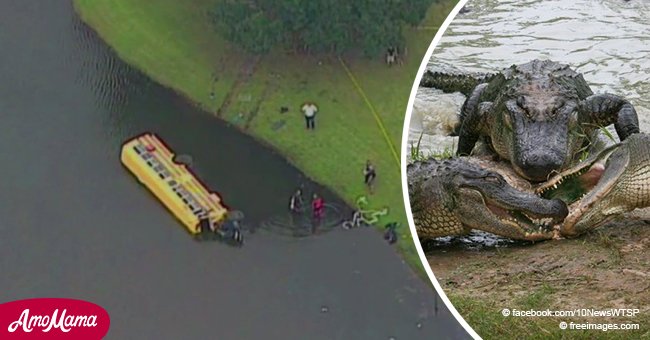 Autobús cae con 27 niños en estanque de caimanes, y un héroe de 10 años entró en acción