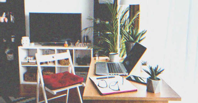 Una computadora portátil, una libreta y una planta sobre un escritorio. | Foto: Shutterstock