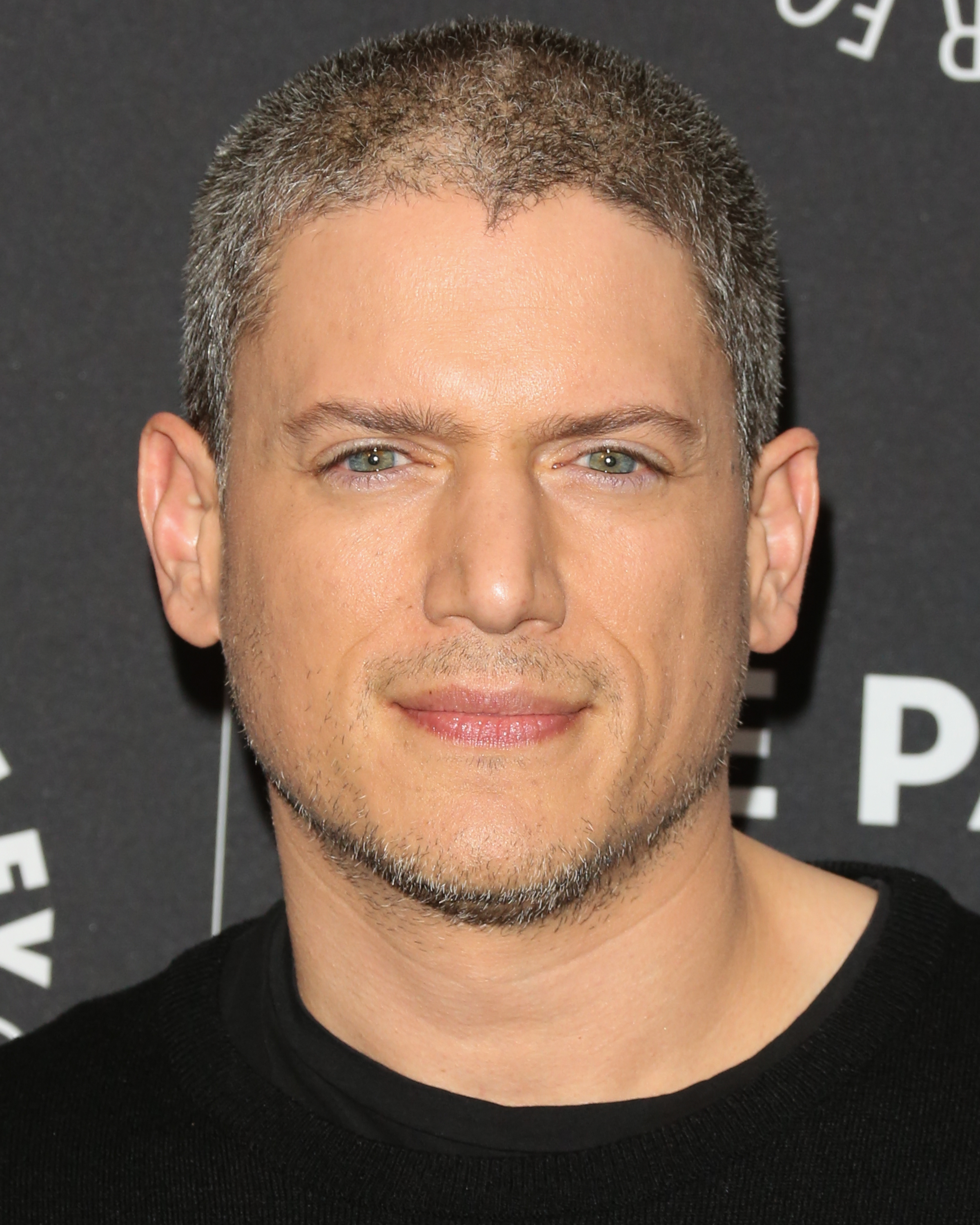 Wentworth Miller asiste a la proyección y conversación de "Prison Break" el 29 de marzo de 2017, en Beverly Hills, California. | Fuente: Getty Images