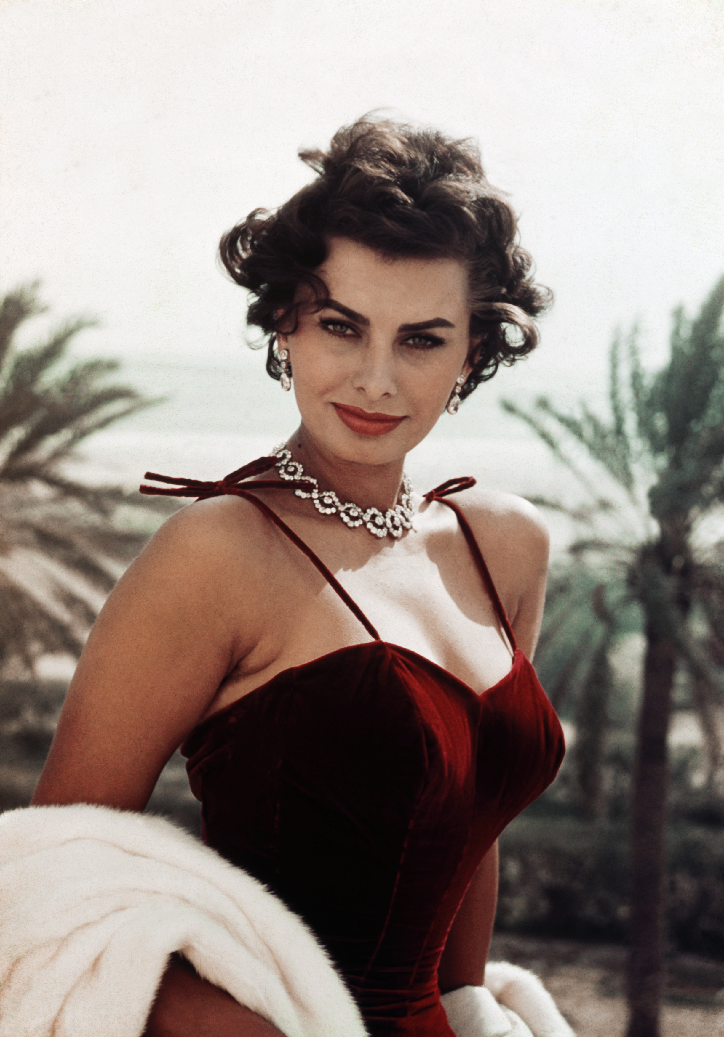 1957- Sophia Loren, actriz. De cintura para arriba.