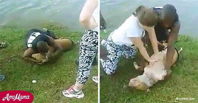 Lloró inconsolable por su perro ahogado, pero una mujer logró salvarlo en conmovedora historia