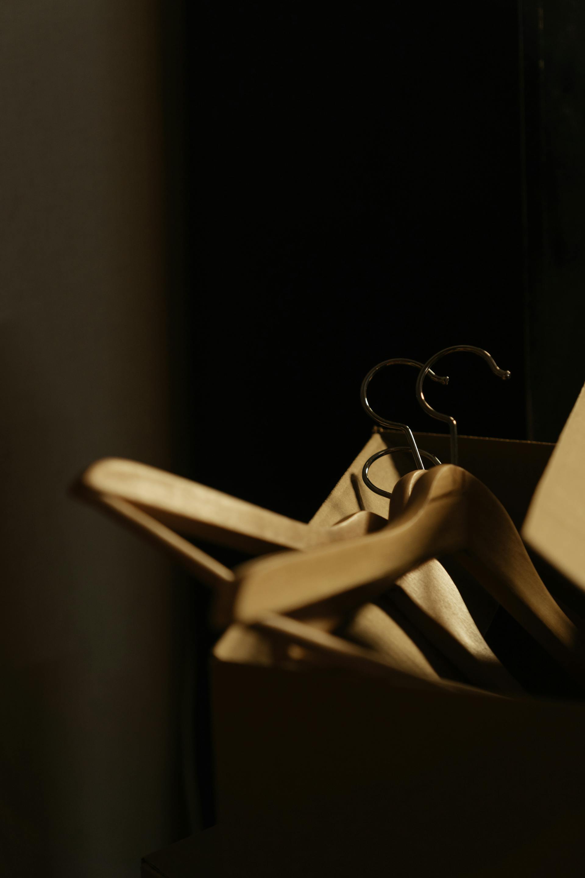 Perchas | Fuente: Pexels