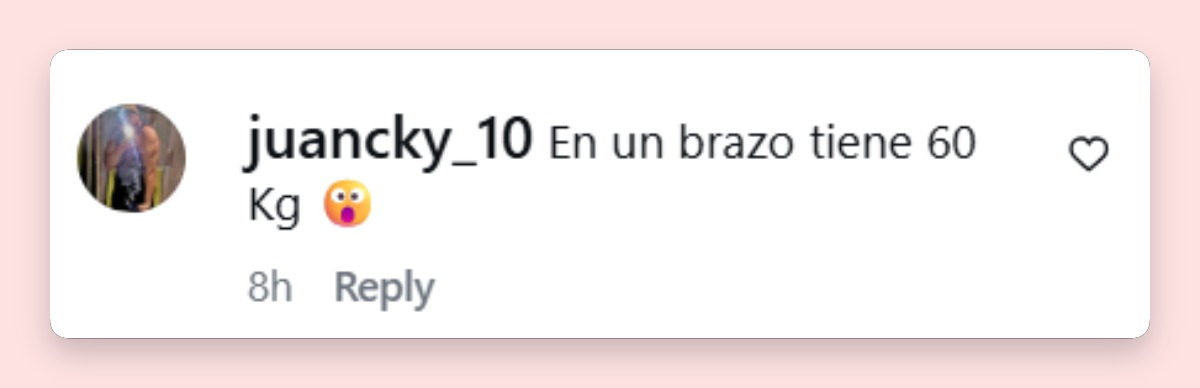 Comentario de un usuario | Fuente: Instagram/hernandrago