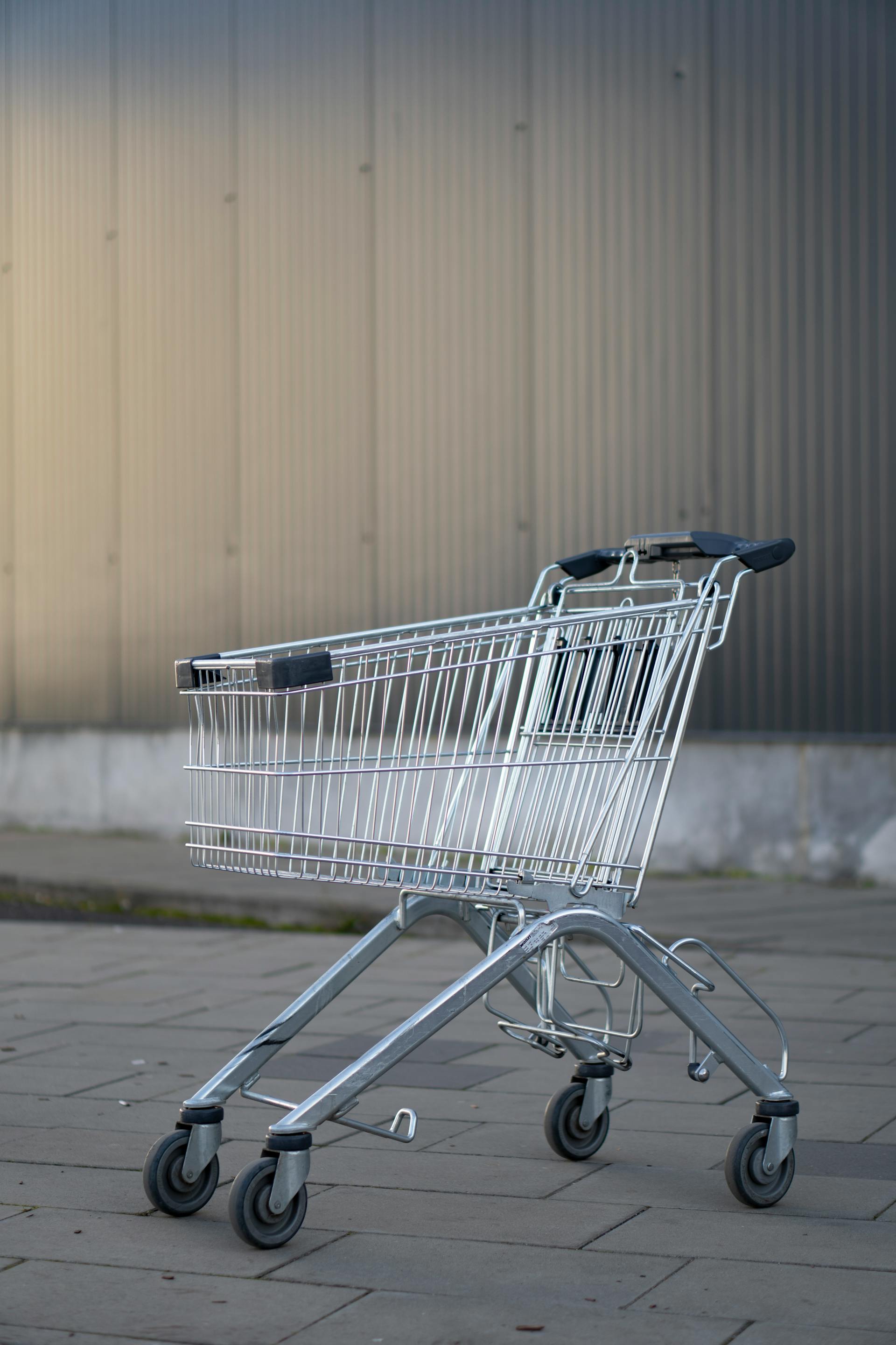 Un carrito de compras | Fuente: Pexels