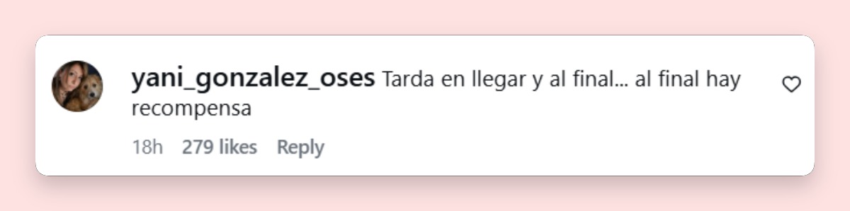 Comentario de una usuaria | Fuente: Instagram/josemariamuscari