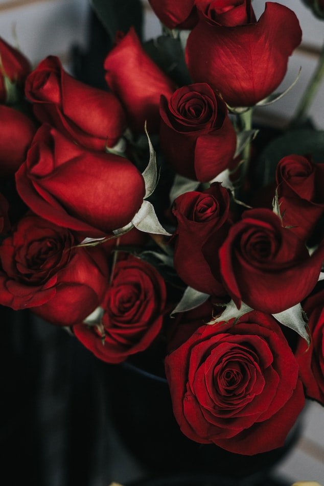 Un ramo de rosas rojas. | Foto: Unsplash