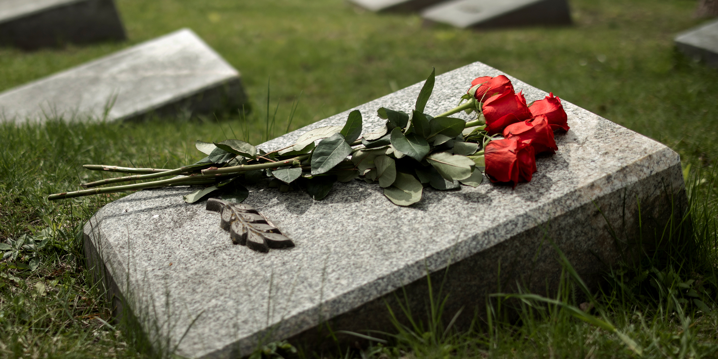 Rosas rojas sobre una tumba | Foto: Freepik